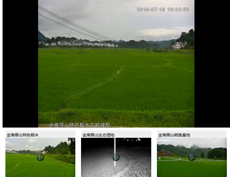 高清监控摄像头助贵州农业示范基地展示直播