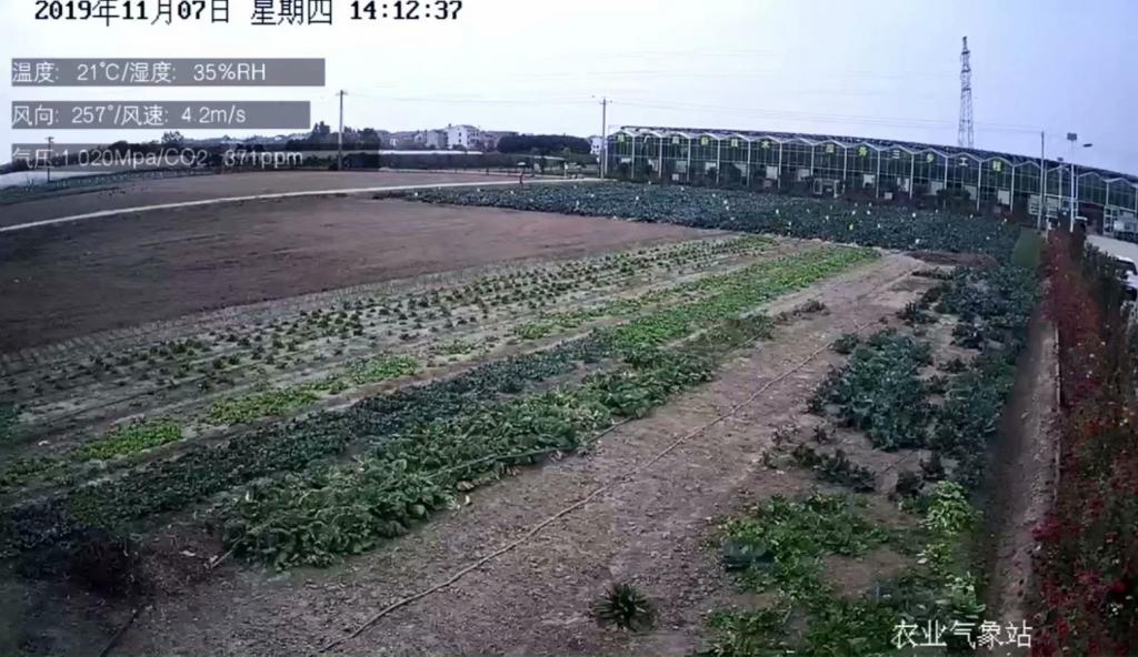 广州XX农业试范基地直播、溯源数据接入云事通平台