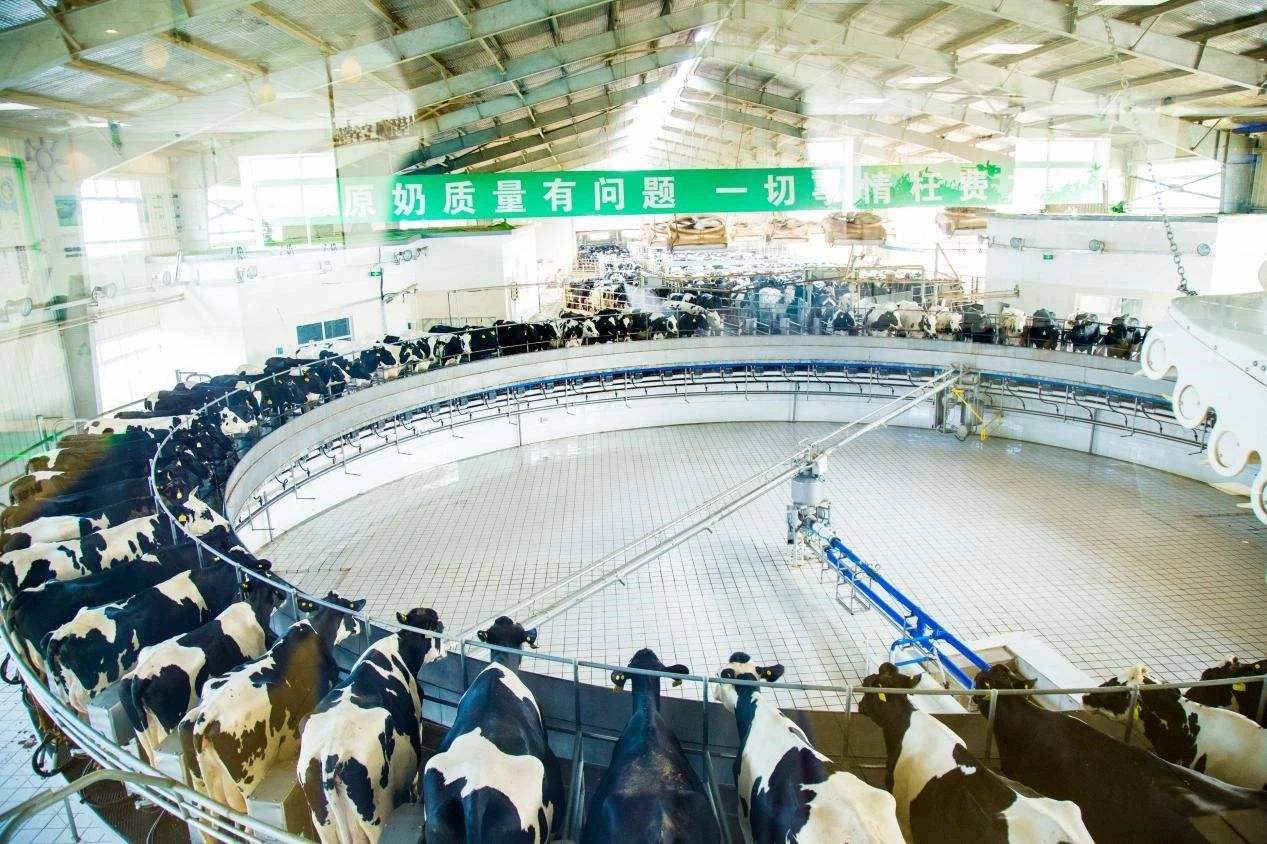 助力蒙牛已安装监控摄像头 打造透明工厂24小时在线直播