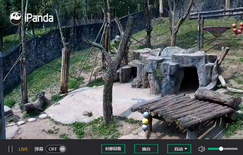 动物园摄像头直播