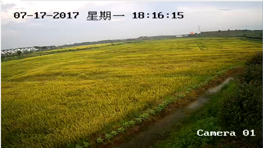 农场安装监控摄像头 实现24小时直播